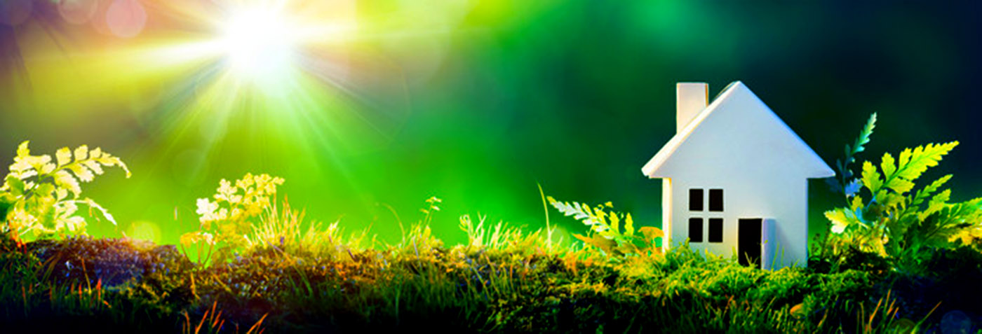 housewithmoss